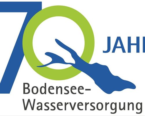 Gemeinsam unterwegs für unser Wasser – Bodensee-Wasser-Lauf 2025