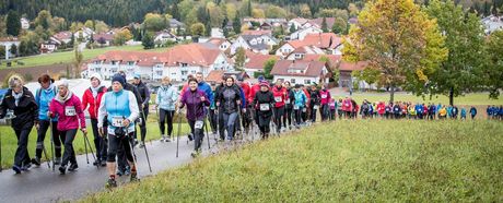 BWLA | Bildung kompakt