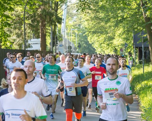 Wald.Sport.Bewegt - Auf in den Lebensraum Wald!